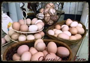 Eggs, eggs, beautiful eggs! 